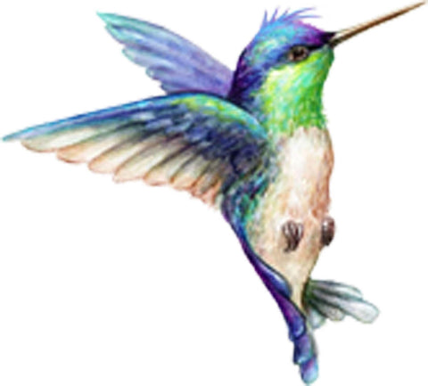 Beautiful Vibrant Colored Hummingbird Art #2 Vinyl Decal Sticker