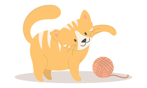 Adorable Cute Playful Kitty Cat House Pet Cartoon #1 Vinyl Decal Sticker