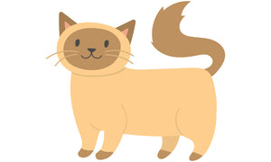 Adorable Cute Playful Kitty Cat House Pet Cartoon #3 Vinyl Decal Sticker