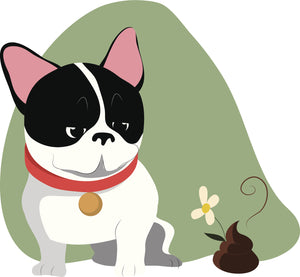 Adorable Happy Boston Terrier Frenchie Puppy Dog #3 Vinyl Decal Sticker
