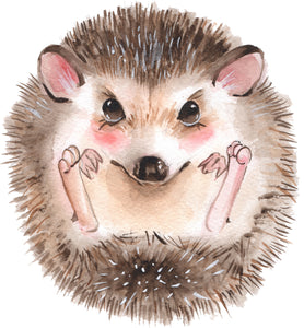 Adorable Happy Watercolor Art Curled Hedgehog Vinyl Decal Sticker