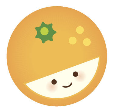 Adorable Summer  Fruit Emoji - Orange Vinyl Decal Sticker