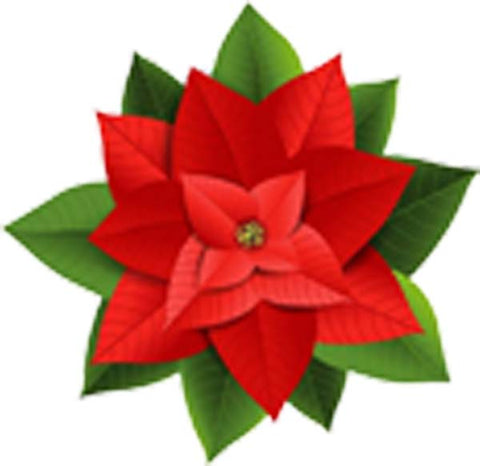 Beautiful Christmas Holiday Red Poinsettia Flower Cartoon Vinyl Decal Sticker
