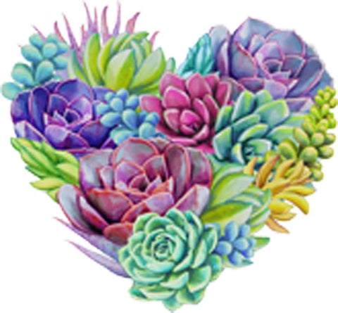 Beautiful Desert Succulent Plant Arrangement Art - Heart Vinyl Decal Sticker