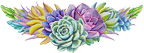 Beautiful Desert Succulent Plant Arrangement Art - Valance Vinyl Decal Sticker