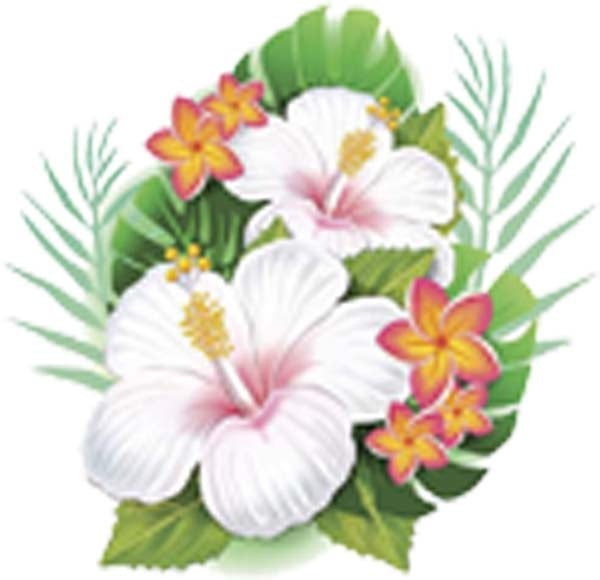 Beautiful Hawaiian Hibiscus Floral Arrangements Cartoon - White Vinyl Decal Sticker