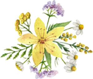 Beautiful Simple Flower Floral Bunch Arrangement Watercolor Art - Lily Yellow Vinyl Decal Sticker