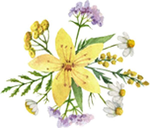 Beautiful Simple Flower Floral Bunch Arrangement Watercolor Art - Lily Yellow Vinyl Decal Sticker