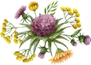 Beautiful Simple Flower Floral Bunch Arrangement Watercolor Art - Mum Purple Vinyl Decal Sticker