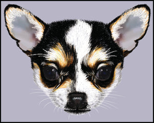 Cute Angry Little Chihuahua Head Vinyl Decal Sticker
