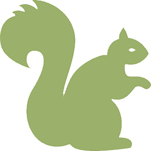 Cute Forest Woodland Creature Animal Cartoon - Squirrel Green Vinyl Decal Sticker