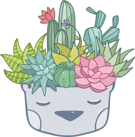 Cute Succulent Desert Plant Arrangement Cartoon Vinyl Decal Sticker