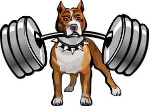 Cute Tough Strong Pitbull Puppy Dog with Dumbbells Vinyl Decal Sticker