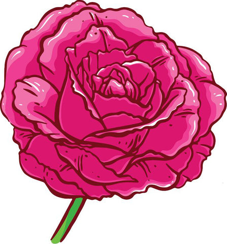 Delicate Tattoo Style Pink Rose Drawing (1) Vinyl Decal Sticker