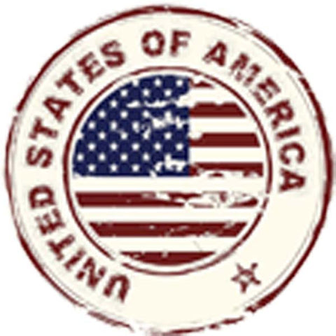Divine Designs USA Vintage American Flag Icon Vinyl Decal Sticker