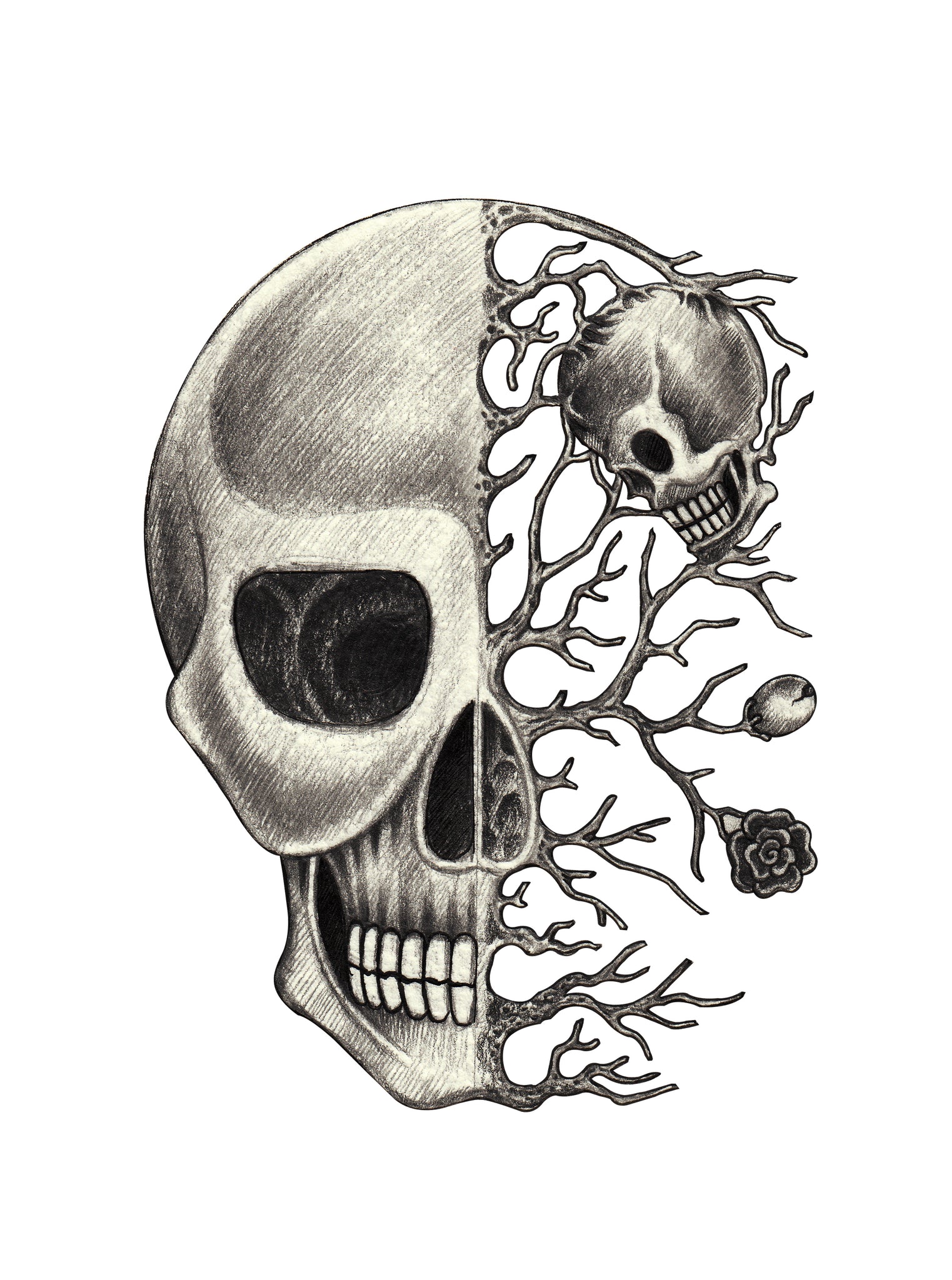 Pencil Sketch Half Skull with Branching Roots and Flower Vinyl Decal Sticker