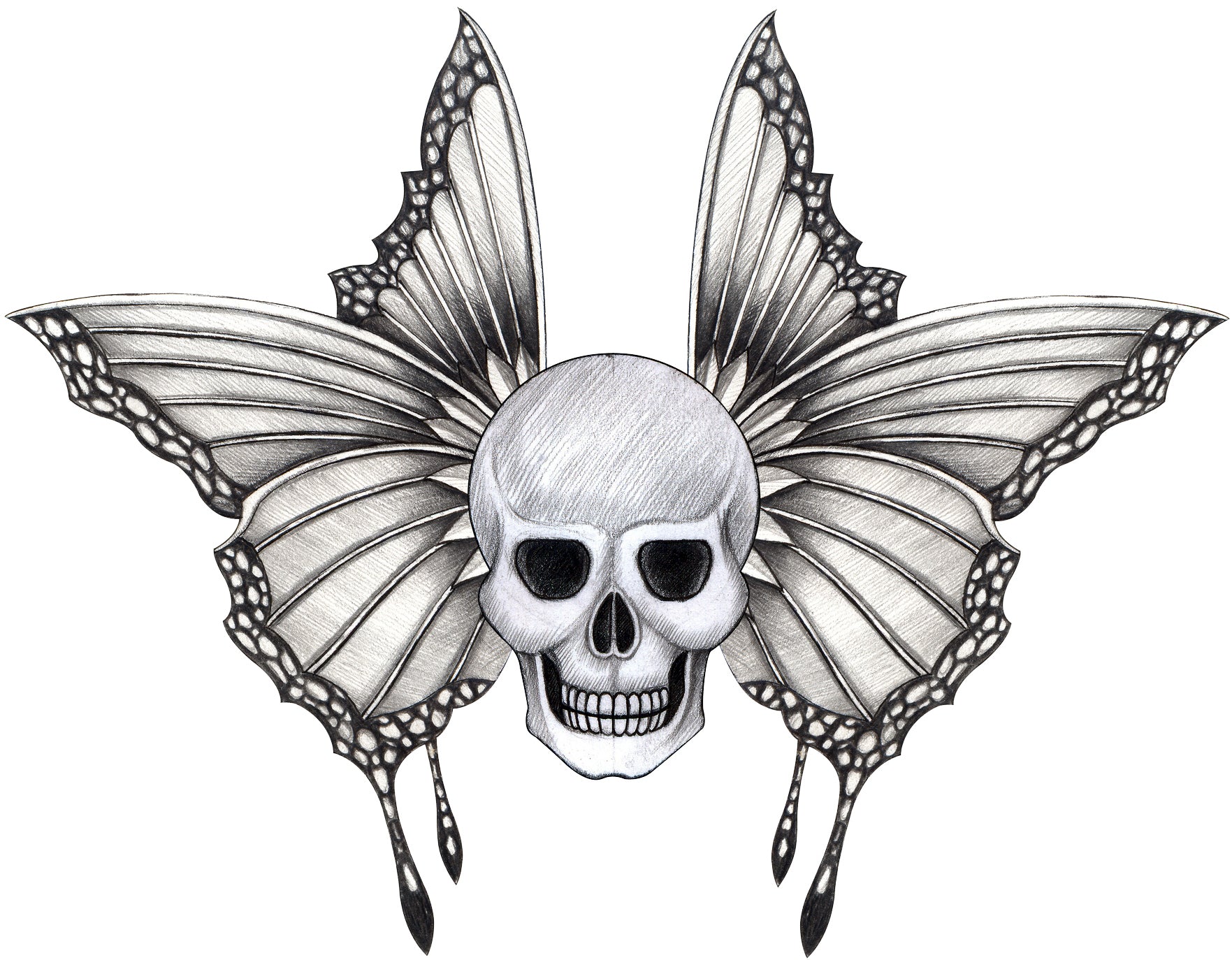 Pencil Sketch Skull with Delicate Butterfly Wings Vinyl Decal Sticker