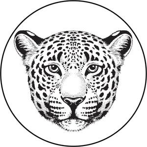 Pretty Majestic Zoo Animal Pen Sketch Head - Jaguar Vinyl Decal Sticker