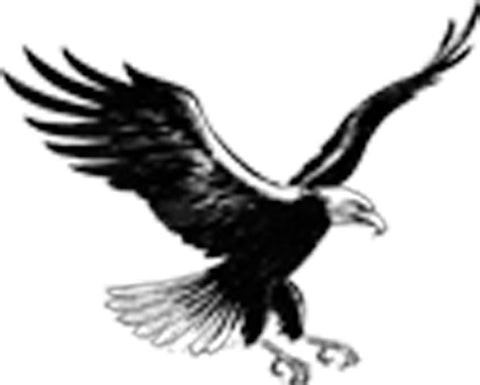 Simple Black and White Pen Sketch Flying Landing Bald Eagle Art Vinyl Decal Sticker