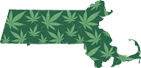 Simple Marijuana Weed Map Massachusetts State Smoking Pot Cartoon Vinyl Decal Sticker