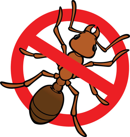 Simple No Bugs Sign Symbol Cartoon - Ant Vinyl Decal Sticker