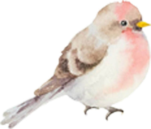Sweet Fluffy Wild Forest Bird Watercolor Art - Pink White Bird Vinyl Decal Sticker