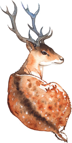Sweet Watercolor Deer Paint Cartoon Art Vinyl Decal Sticker