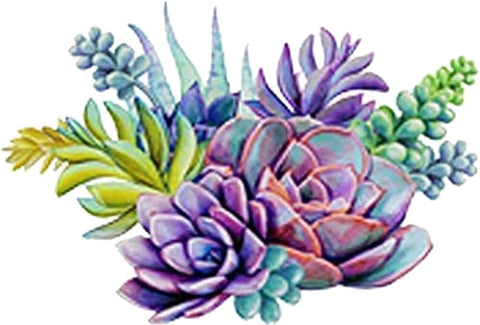Beautiful Desert Succulent Plant Arrangement Art - Spring Vinyl Decal Sticker