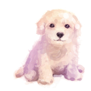 Watercolor Furry White Maltese Puppy Dog Vinyl Decal Sticker