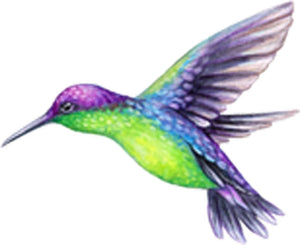 Beautiful Vibrant Colored Hummingbird Art #3 Vinyl Decal Sticker
