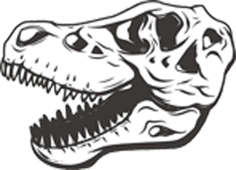Tyrannosaurus Rex Dinosaur Skull Pre Historic Geology Science Animal Cartoon Decal Sticker